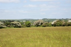 Images for Helston, West Cornwall