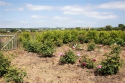 Images for Helston, West Cornwall