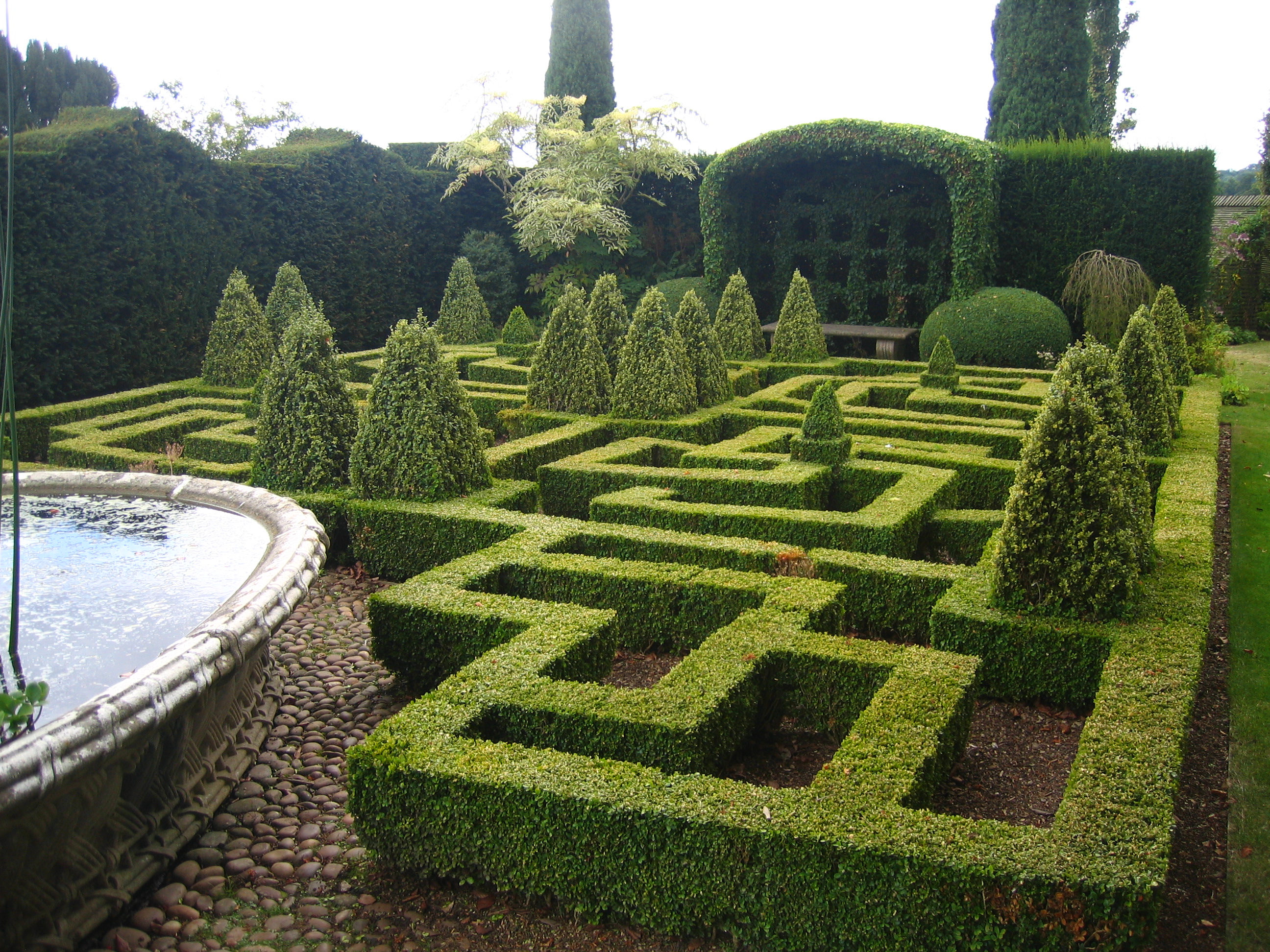 Focus On: Topiary