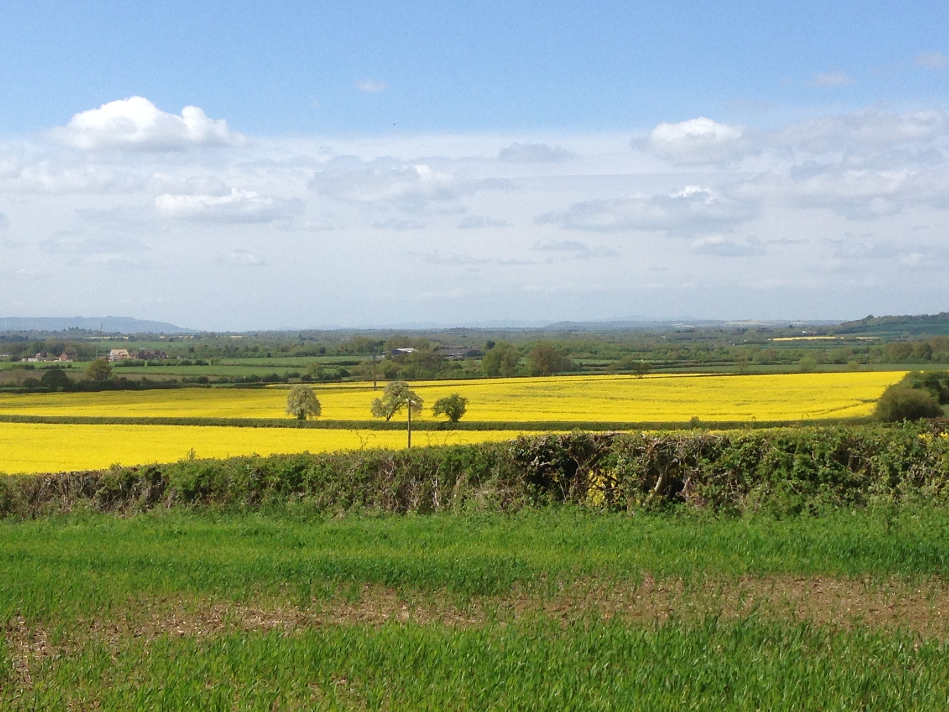 Our Office, the idyllic Alscot Estate