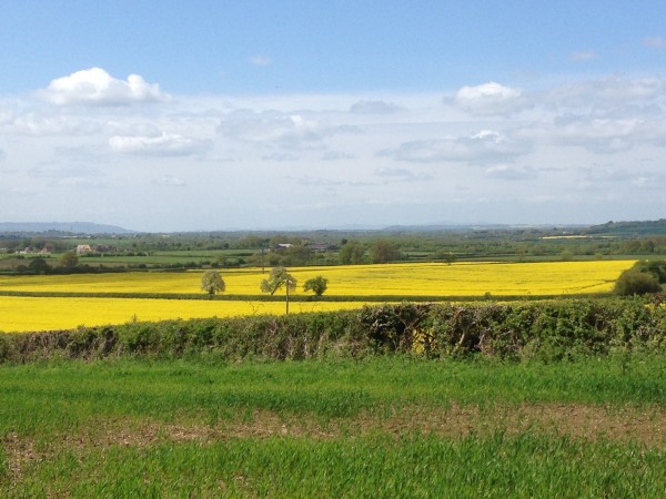 Our Office, the idyllic Alscot Estate