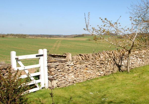 Focus On: Dry Stone Walling